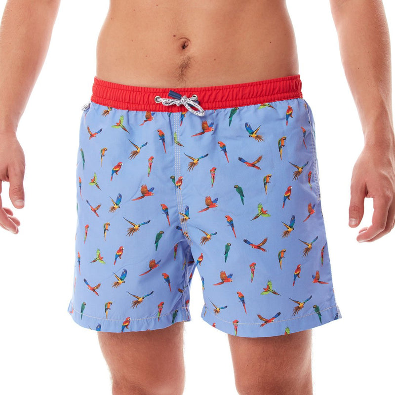 MS4310 - Parrots blue