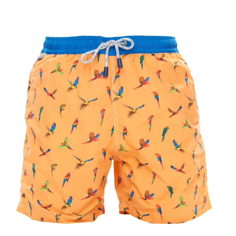 MS4311 - Parrots orange